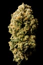 Watermelon Zkittles Indoor