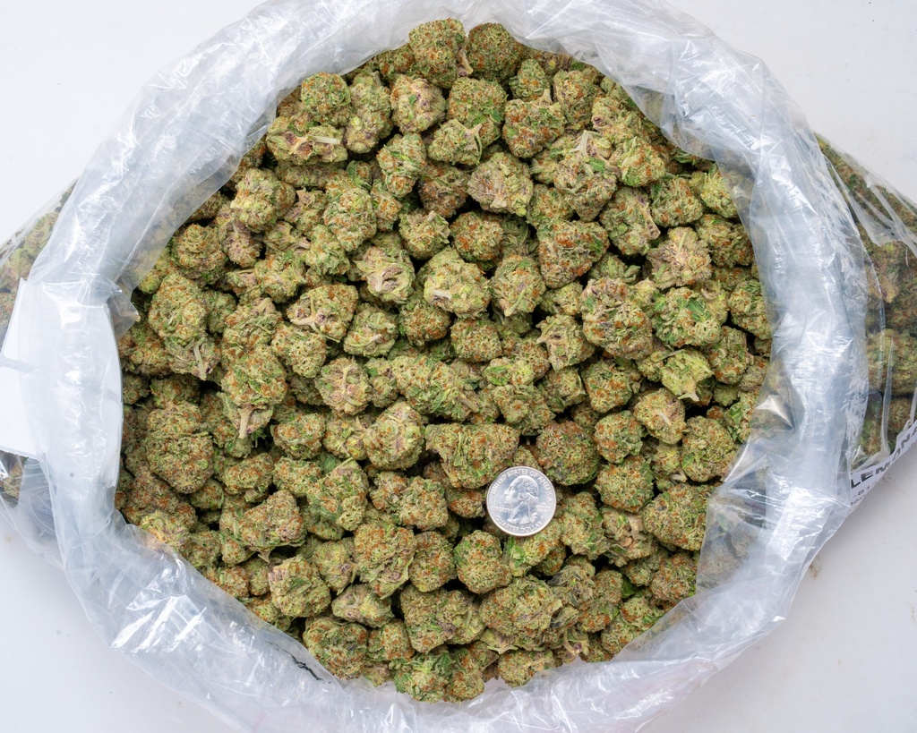 ILLEMONATI INDOOR