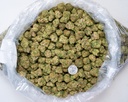 ILLEMONATI INDOOR