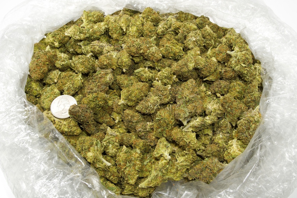Berry Pie (CBD)