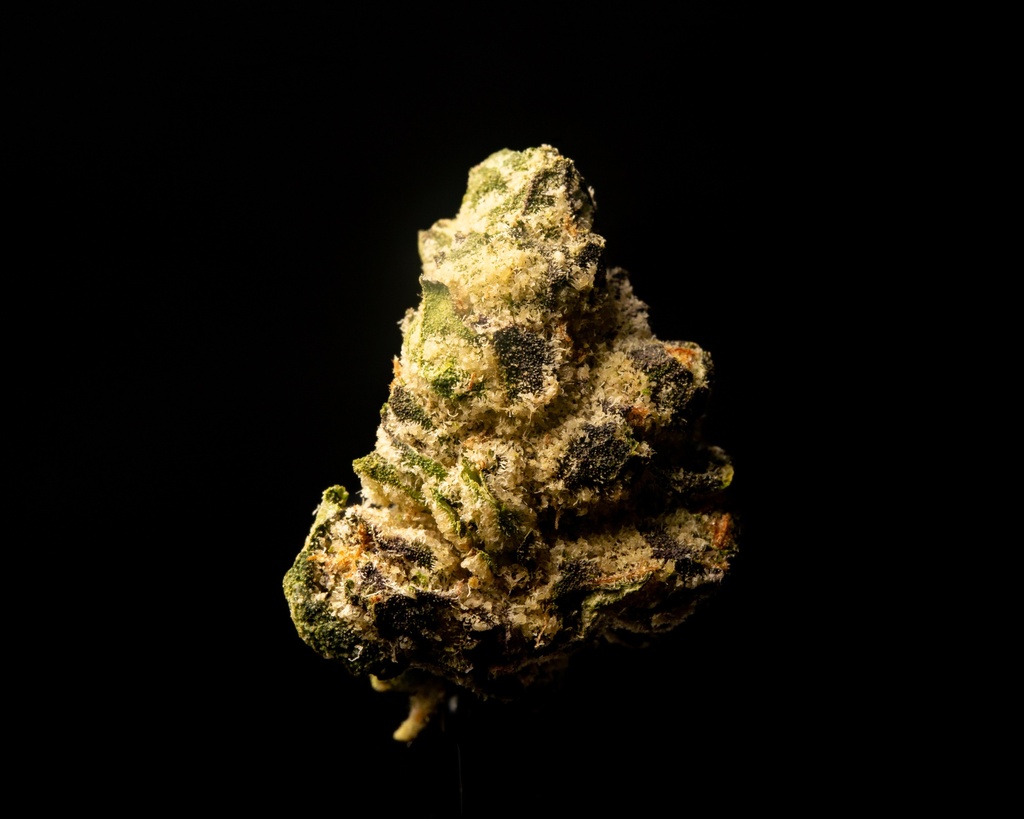 LA Pop Rocks Indoor Smalls