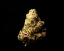 LA Pop Rocks Indoor Smalls