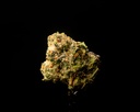 Candyland Indoor Smalls