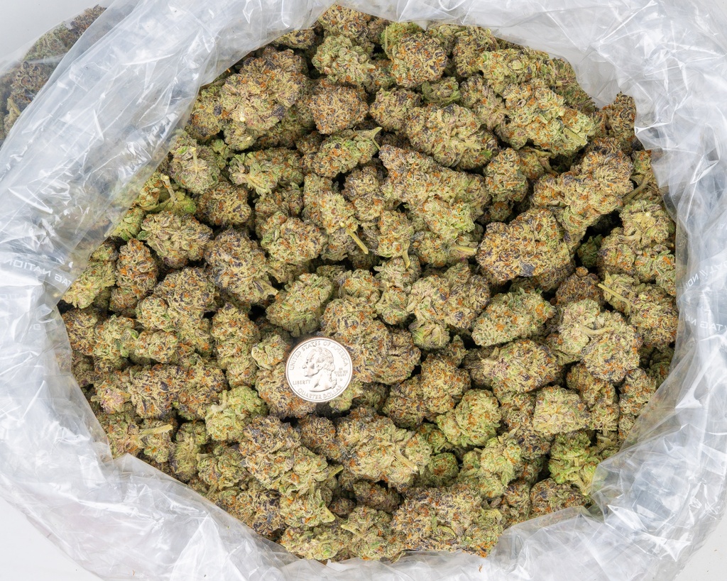 Girl Scout Cookies Indoor