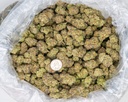 Girl Scout Cookies Indoor
