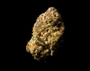 Girl Scout Cookies Indoor