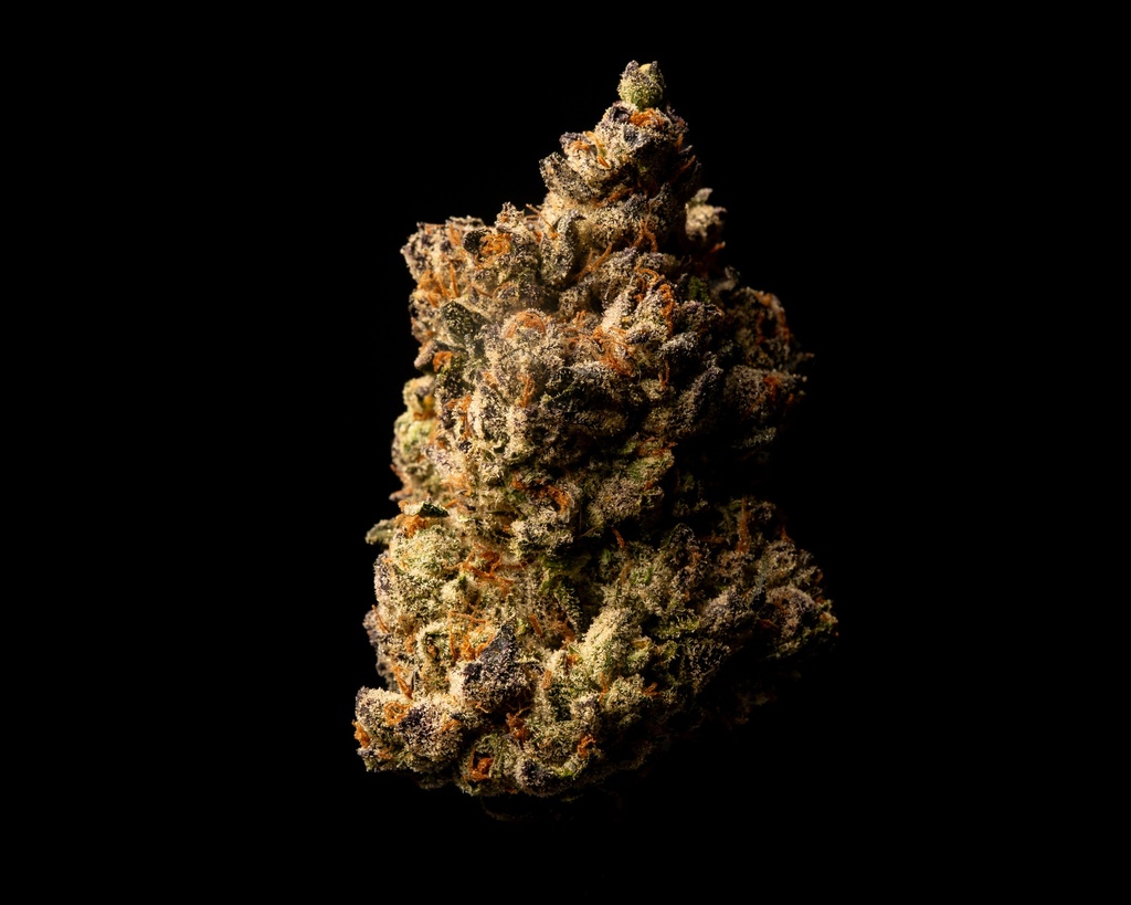 Oreoz Indoor
