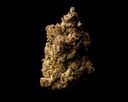 Oreoz Indoor