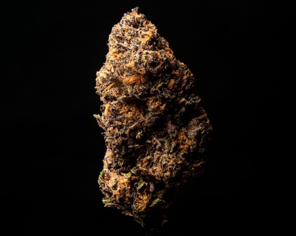 Toxic Punch Indoor