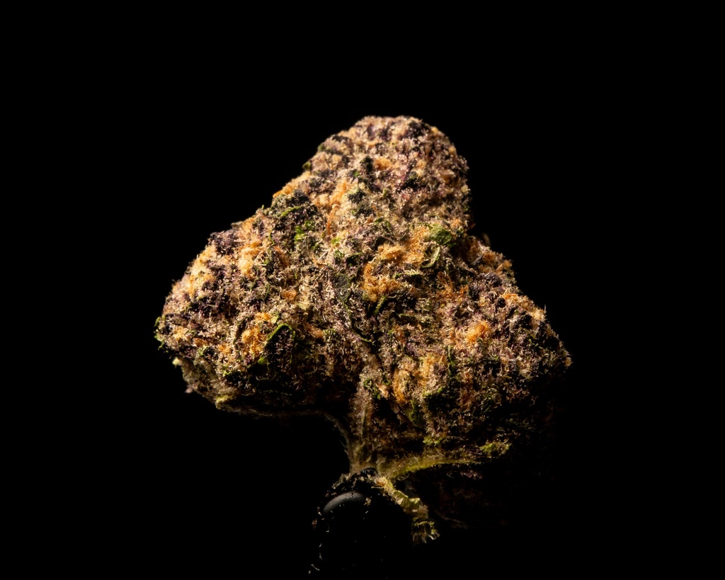Toxic Punch Indoor Smalls