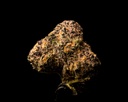 Toxic Punch Indoor Smalls