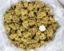 Agent Orange Indoor