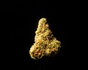 Agent Orange Indoor Smalls