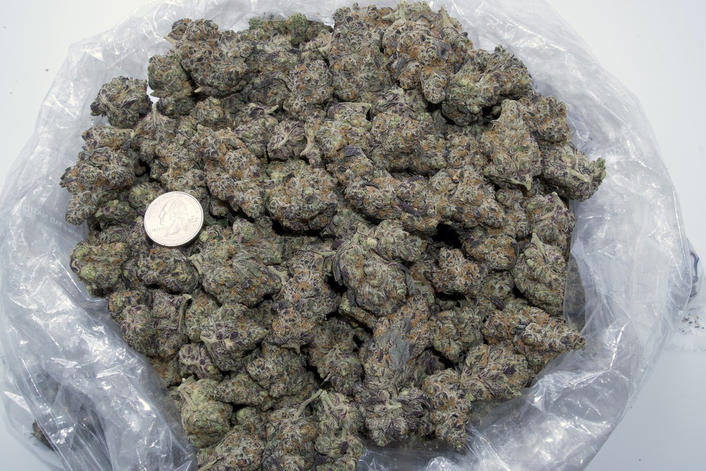 Lemon Slam Indoor