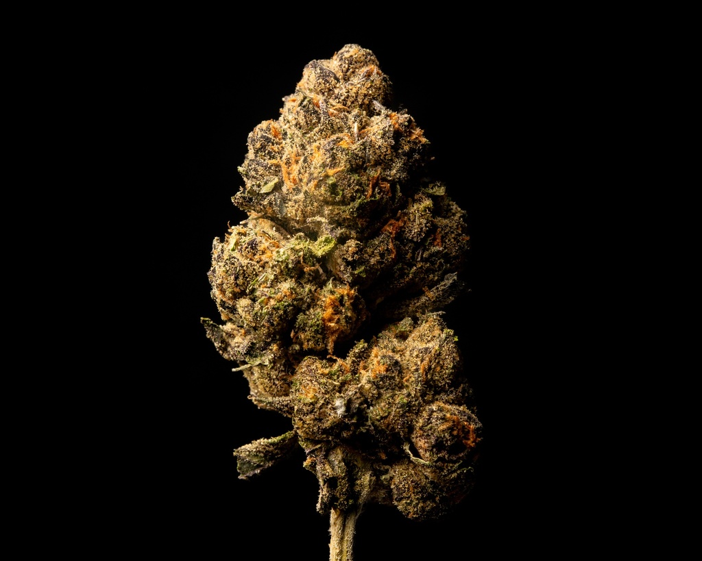 Black Runtz Indoor