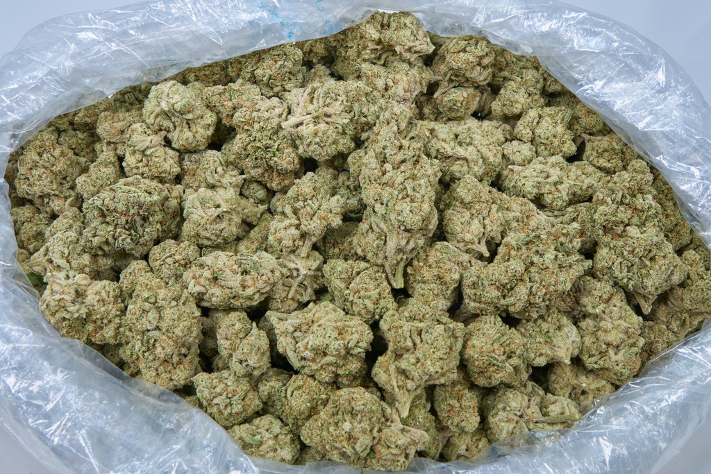JEALOUSY X KUSH INDOOR