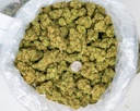 Cali-O Indoor