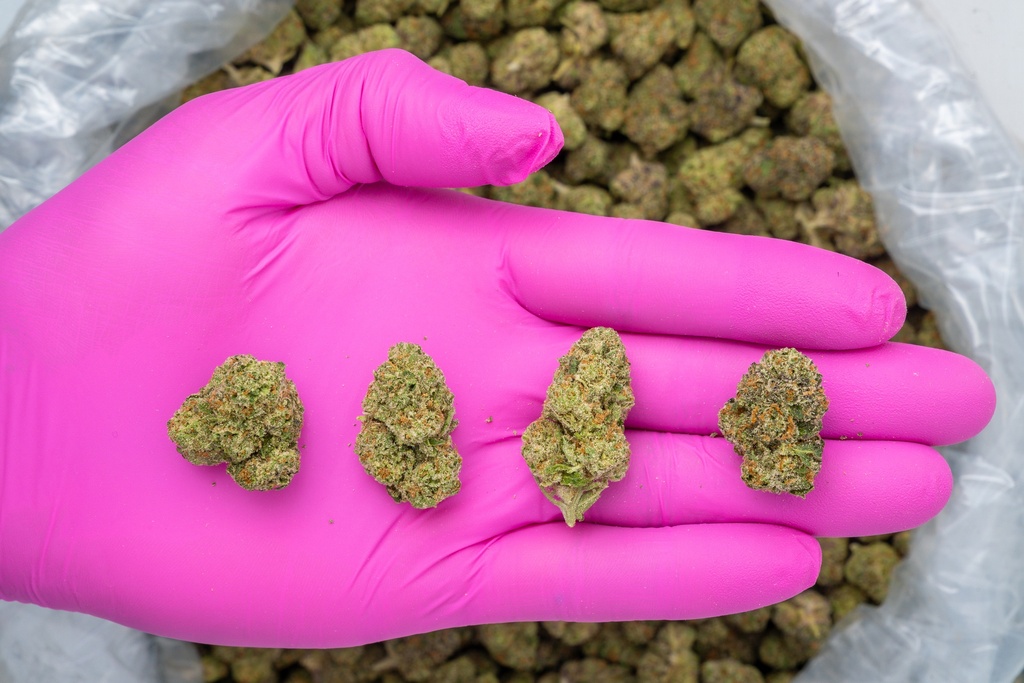 Candyland Indoor Mediums