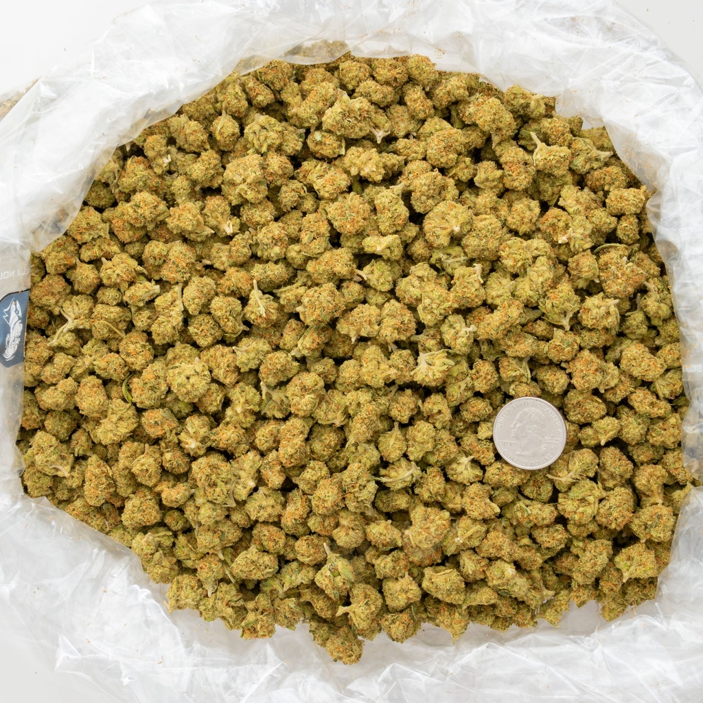 Sour Kush Breath Smalls