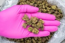 Sour Kush Breath Smalls