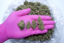 Cookies (CBD)