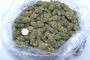 Diesel (CBD) 