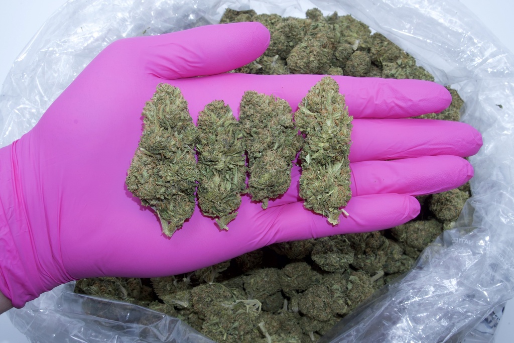 Diesel (CBD) 