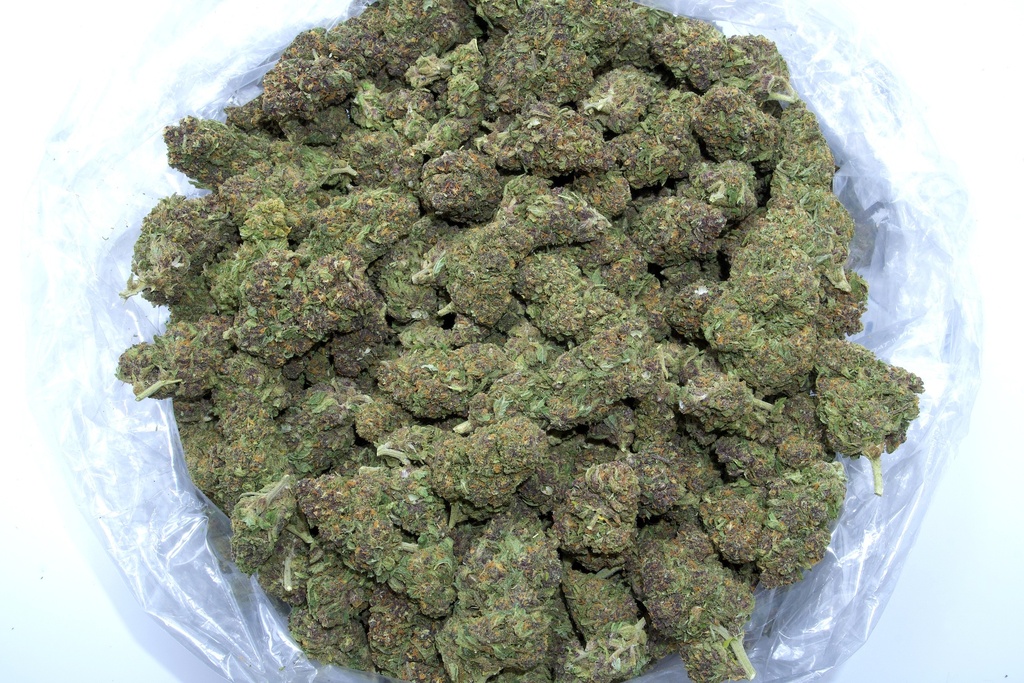 Fruity Pebbles (CBD)
