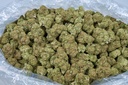 LARRY OG INDOOR