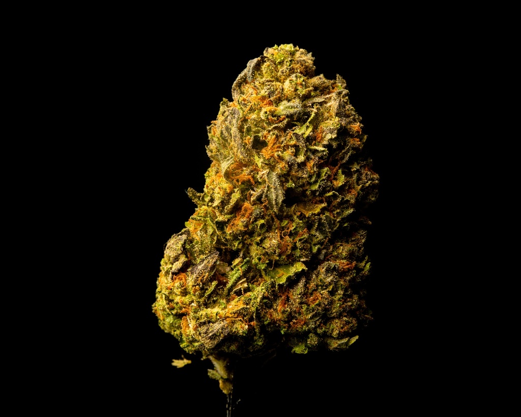 Gary Zkittles