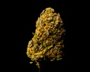 Gary Zkittles