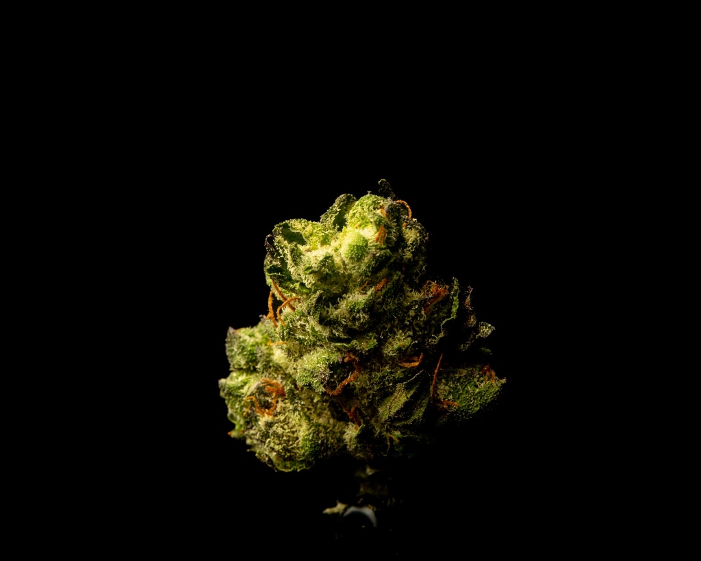 Ice Cream Cake Indoor Smalls