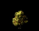 Ice Cream Cake Indoor Smalls