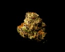 Purple Punch Indoor Smalls
