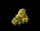 Lemon Cherry Gelato Indoor Smalls
