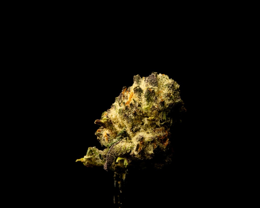 Oreoz Indoor Smalls