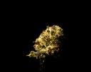 Oreoz Indoor Smalls