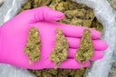 Sour Patch Candy