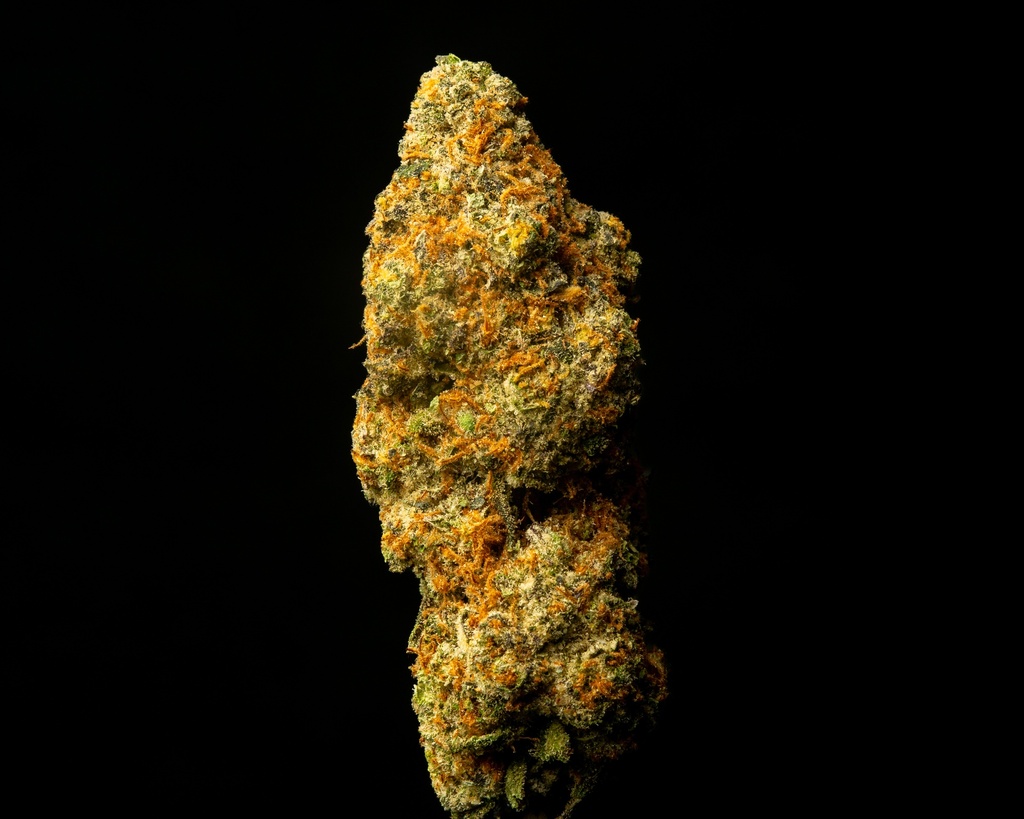 Starburst Indoor