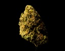 Blue Cherry Gelato