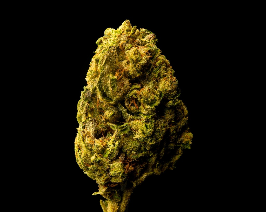 Gelato #33
