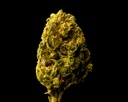 Gelato #33
