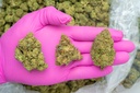 Runtz (THCA)