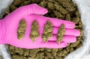 Runtz (THCA)
