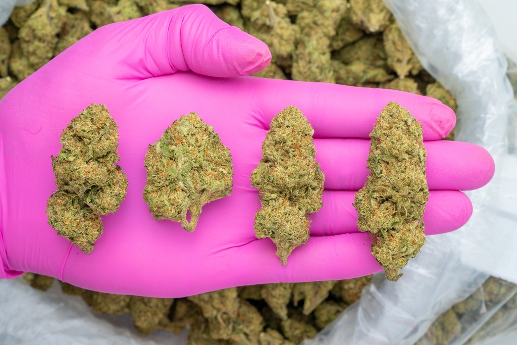 Mango Afghani