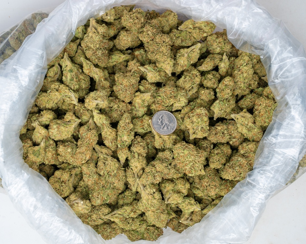 Mango Afghani