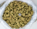 Mango Afghani