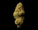 Mango Afghani
