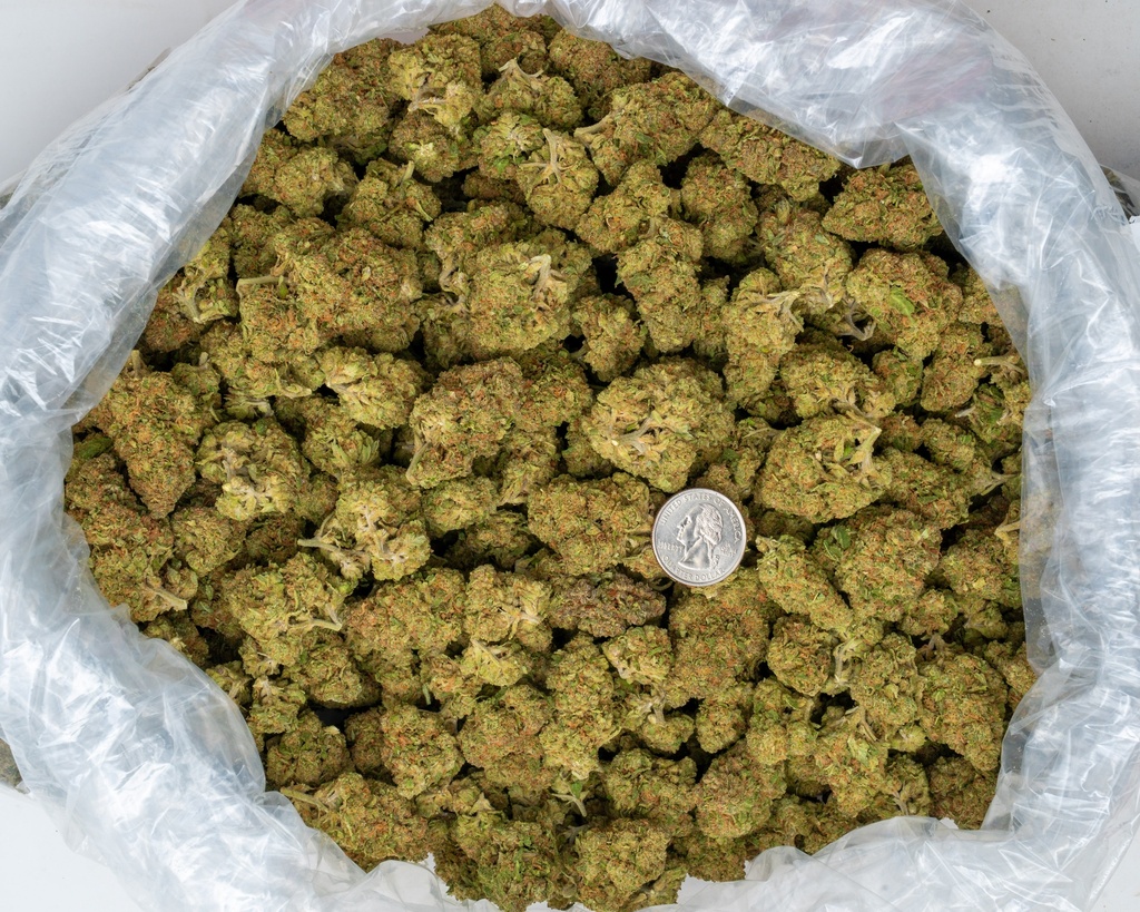 Green Crack