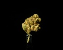 Wedding Cake Smalls